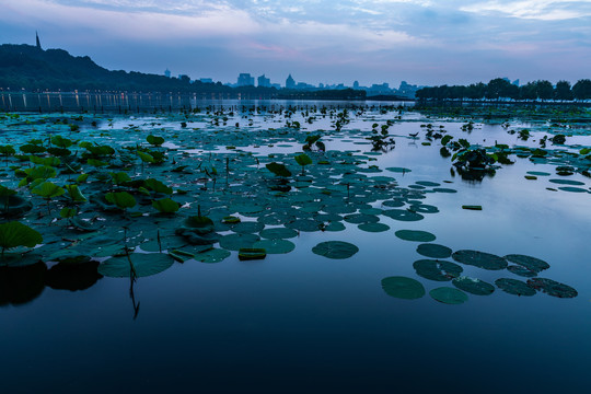 西湖朝霞