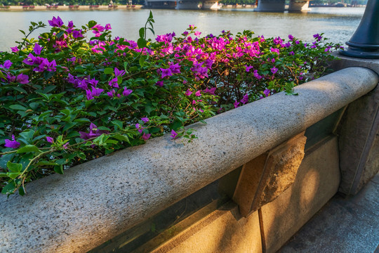 广州珠江边的花岗岩栏杆和花圃