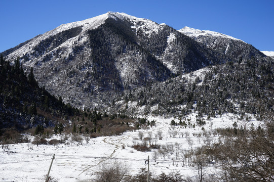 雪山牧场