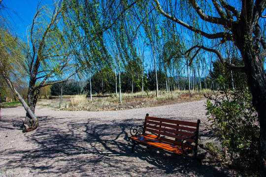 湿地公园长椅