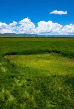 草原风景