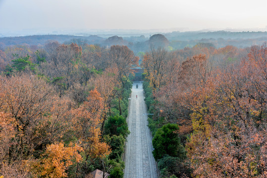 中国江苏南京钟山灵谷景区