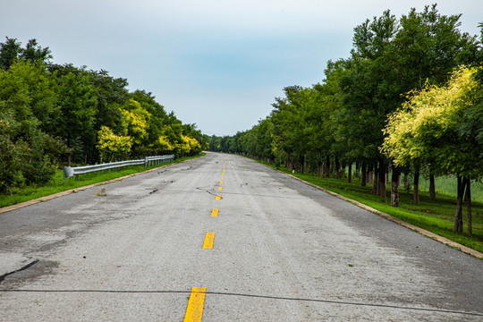 公路乡村路