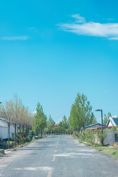 夏季北方城镇乡间公路