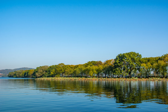 西湖苏堤秋景