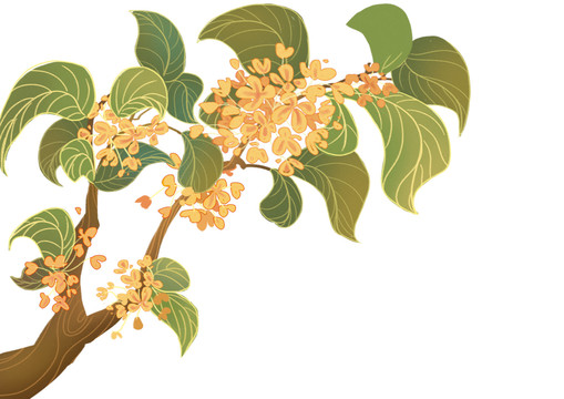 國潮桂花樹