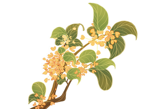 國(guó)潮桂花樹