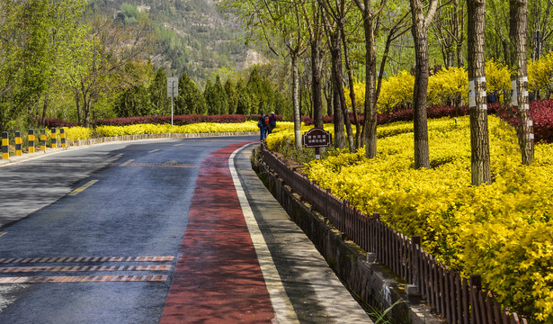 罗九公路