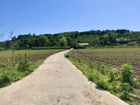 通向农家的水泥路