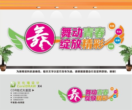 舞蹈教室形象墻背景墻