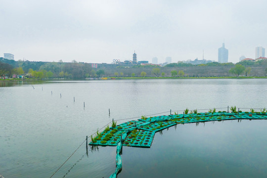 南京玄武湖春天平静的水面