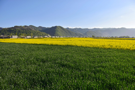 乡村风光