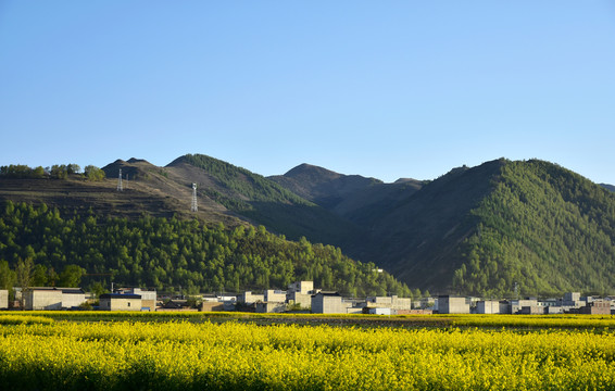 乡村风光