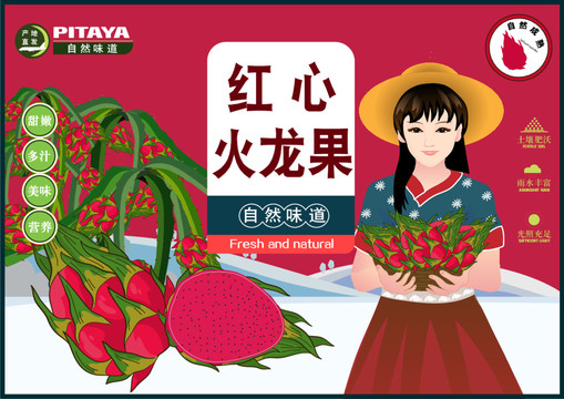 火龍果包裝插畫