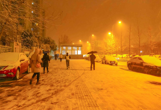 城市雪景