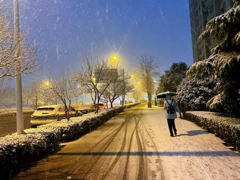 城市雪景