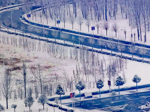 森林雪景