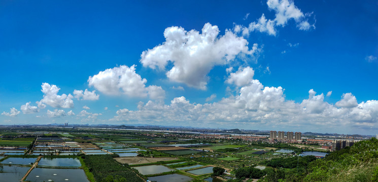 乡村振兴战略