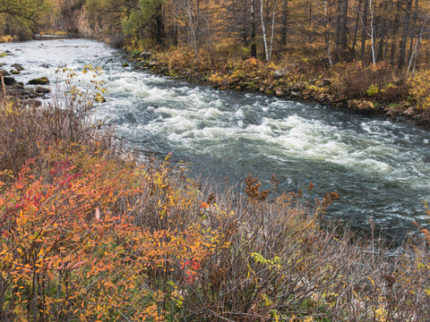 秋季河流激流树林