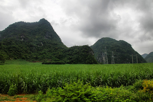 峰林地貌