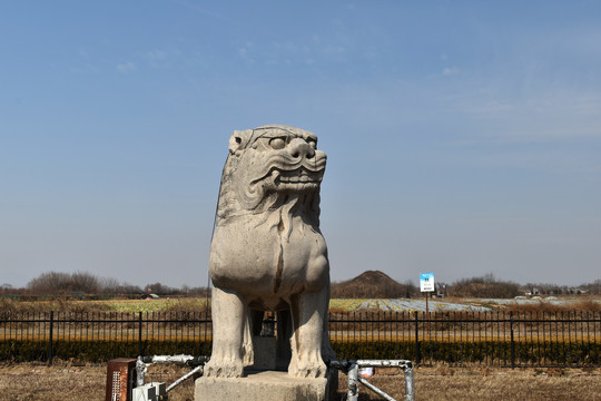 顺陵石刻走狮雌