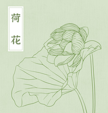 手繪荷花