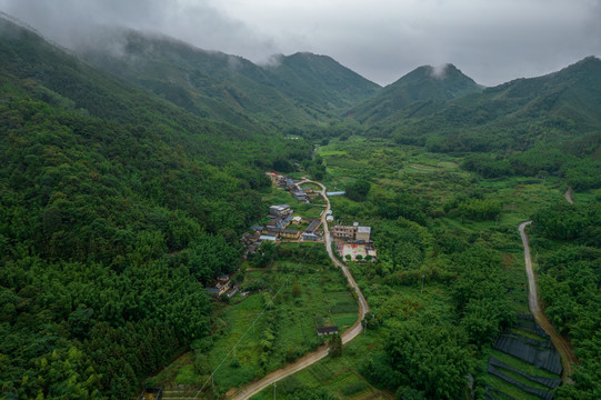 农村美景