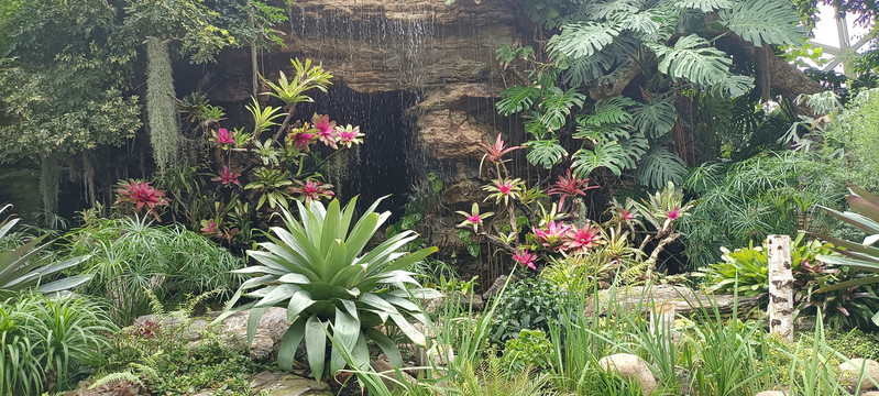 上海辰山植物园