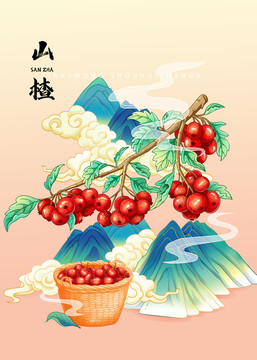 山楂手繪海報(bào)