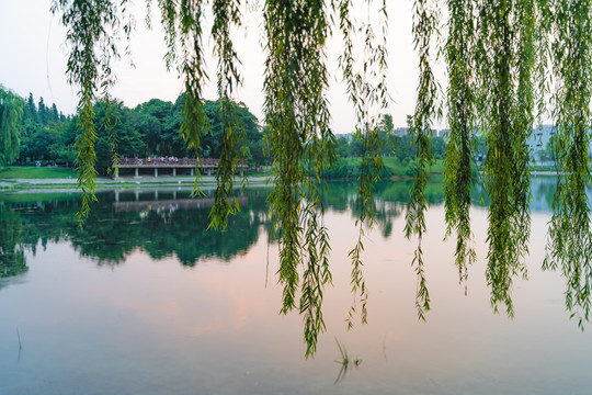 沙河风光