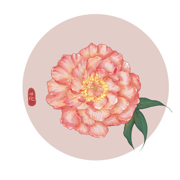 中国风芍药花水彩手绘插画包装