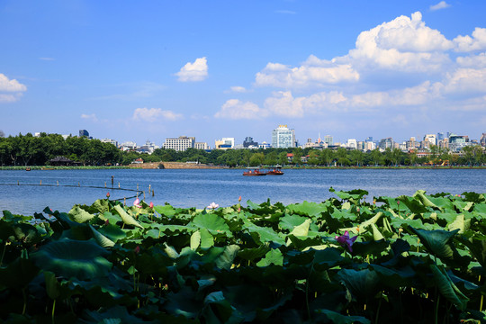 杭州西湖风景