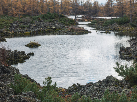 火山岩沼泽森林