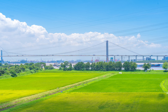 郊区乡村田园风光