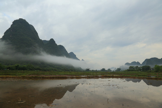 遇龙河