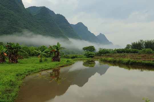 遇龙河