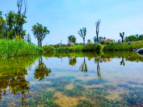 陕西旅游昆明湖湿地公园