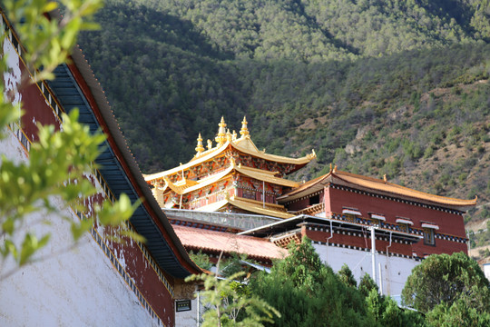 香格里拉东竹林寺