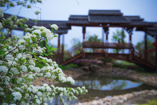 马可波罗花世界公园