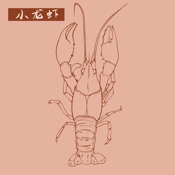 小龍蝦線稿包裝設(shè)計(jì)海鮮宵夜