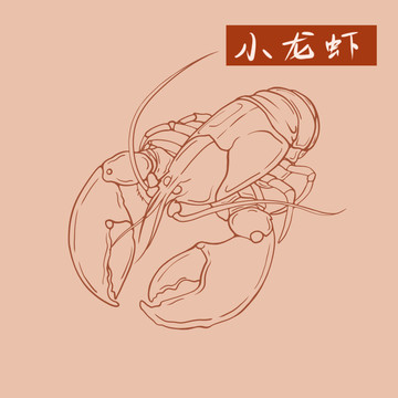 小龍蝦線稿風(fēng)包裝設(shè)計海鮮