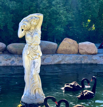 黑天鹅与少女雕像