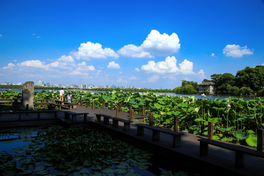 西湖风景