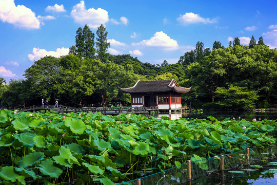 西湖风景