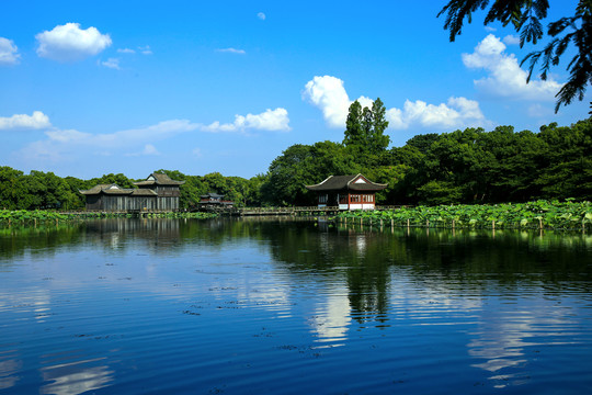 西湖风景