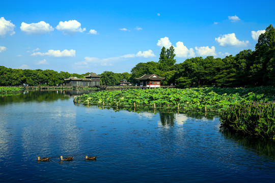 西湖风景