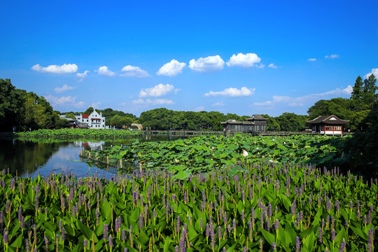 西湖风景