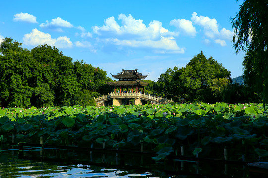 西湖风景