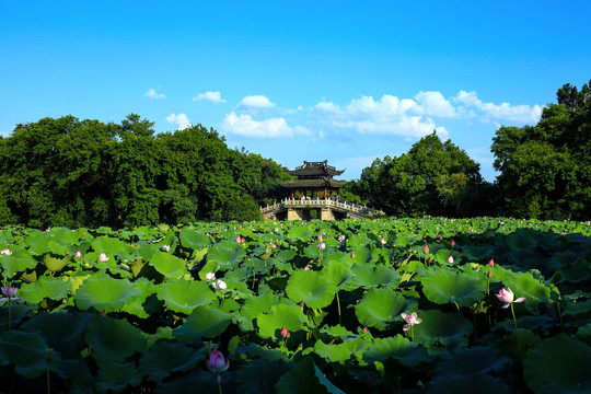 西湖风景