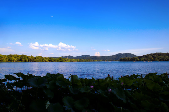 西湖风景